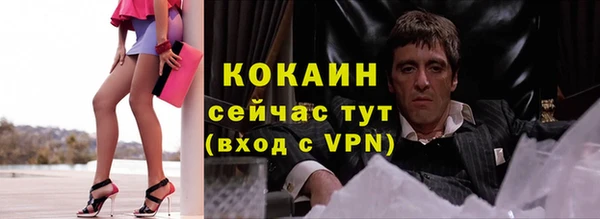 ешки Няндома