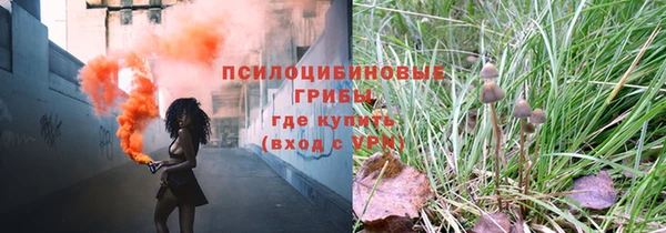 ешки Няндома