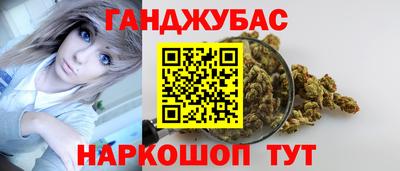 индика Гусь-Хрустальный