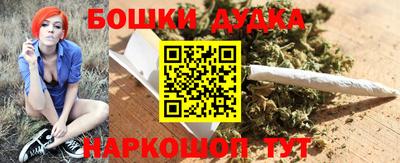 индика Гусь-Хрустальный