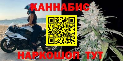 индика Гусь-Хрустальный