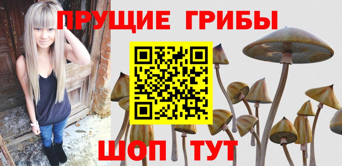 Уварово  Галлюциногенные грибы GOLDEN TEACHER  Вход с VPN  Галлюциногенные грибы Psilocybine cubensis 